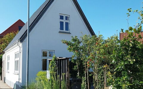 Emma - 700M from the Sea: Hvid, Font, Nummer