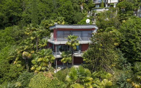 Max: Træ, Vegetationen, Busk, Altan, Estate, Hacienda, Jungle, Eco Hotel, Villa