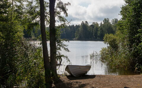 Virtaan Virtavilla: Sne, Vinter, Fryser, Sommerhus, Hill Station, Lærk, Is Kappe, Glacial Landskabsform, Skisportssted