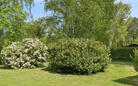 Alika - 700M from the Sea: Blad, Busk, Plantesamfund, Bunddække, Have, Vedplante, Forår, Hæk, Lawn