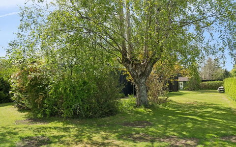 Alika - 700M from the Sea: Græs, Træ, Blad, Afdeling, Busk, Land Lot, Have, Lawn, Forår