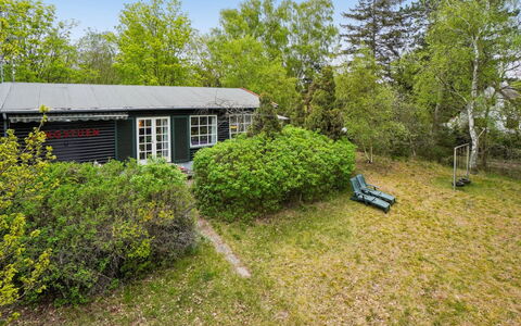 Dalia - 850M from the Sea: Græs, Busk, Sommerhus, Hjem, Plantesamfund, Landdistrikt, Bunddække, Have, Lawn