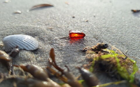 Mavis - 1.6Km from the Sea: Orange, Naturmateriale