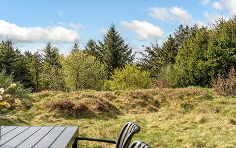 Jürgen - 2.5Km from the Sea: Himmel, Græs, Vegetationen, Busk, Græs-, Landskab, Land Lot, Plantesamfund, Eng