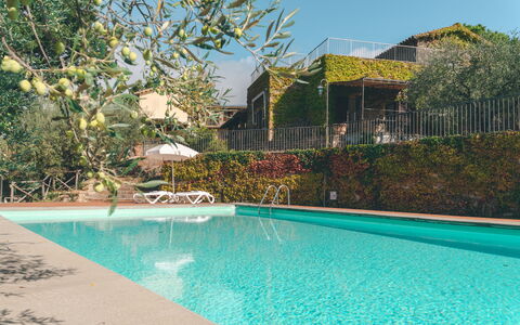 House in the Woods, Pool and Relax in Umbria: Svømmepøl, Udvej, Eco Hotel, Hacienda, Estate, Villa, Skygge, Have, Backyard, Landscaping