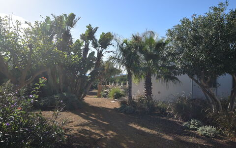 Punta Braccetto Fronte Mare: Blad, Vegetationen, Busk, Have, Plantesamfund, Vedplante, Jord, Landscaping, Botanisk Have