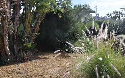 Punta Braccetto Fronte Mare: Busk, Have, Landscaping, Backyard, Botanisk Have, Walkway
