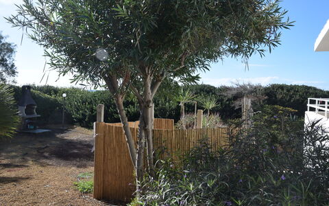 Punta Braccetto Fronte Mare: Busk, Vedplante, Have, Landscaping, Gård, Backyard, Hegn