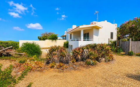 Punta Braccetto Fronte Mare: Himmel, Blå, Grøn, Vegetationen, Busk, Sommer, Plantesamfund, Shrubland, Landscaping