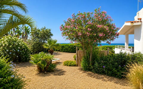 Punta Braccetto Fronte Mare: Blomst, Grøn, Busk, Have, Plantesamfund, Bunddække, Landscaping, Walkway, Botanisk Have