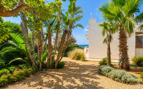 Punta Braccetto Fronte Mare: Grøn, Vegetationen, Busk, Landskab, Have, Landscaping, Walkway, Skygge