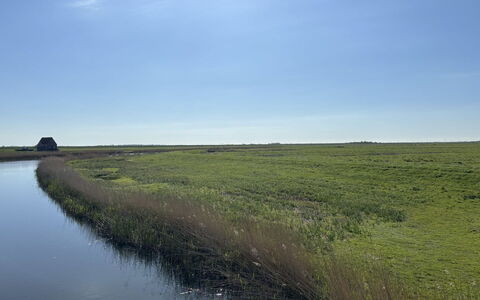 Tessa - 19Km from the Sea: Bygning, Daytime, Skyscraper, Lejlighed, Byområde, City, Boligområde, Ejerlejlighed, Hovedstadsområde