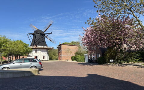 Tessa - 19Km from the Sea: Bygning, Daytime, Skyscraper, Lejlighed, Byområde, City, Boligområde, Ejerlejlighed, Hovedstadsområde