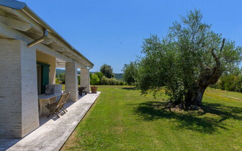 La Sorgente: Busk, Hjem, Land Lot, Have, Bunddække, Landscaping, Skygge, Estate, Sommerhus
