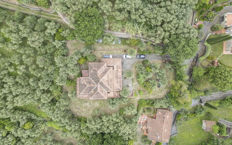 Villa Golly: Landskab, Estate, Luftfotografering, Landsby, Plantation, Fugleperspektiv, Jungle, Mansion, Chaparral