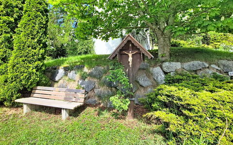 Halbeis: Grøn, Blad, Busk, Have, Plantesamfund, Bunddække, Forår, Landscaping, Lawn