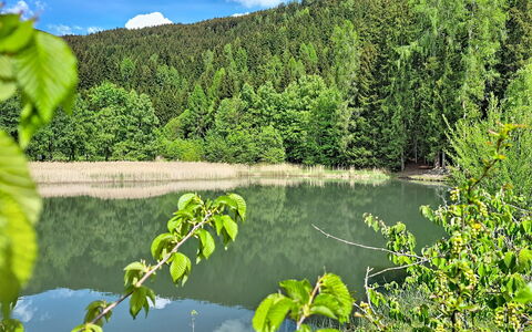 Halbeis: Vandressourcer, Vand, Grøn, Krop Af Vand, Natur, Naturligt Miljø, Naturlige Landskab, Bank, Vandløb, Sommer
