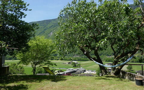 Casa Malva: Afdeling, Have, Vedplante, Lawn, Fritid, Skygge, Gård, Parkere, Backyard