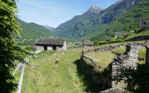 Casa Malva: Bjergrige Landskabsformer, Græs, Bjerg, Bakke, Highland, Landskab, Landdistrikt, Bjergkæde, Græs-, Hill Station