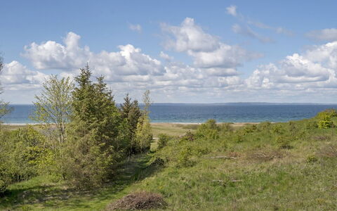 Adelinde - 300M from the Sea: Himmel, Blå, Naturligt Miljø, Vegetationen, Horisont, Økoregion, Sommer, Sky, Hav, Coastal Og Oceaniske Landskabsformer