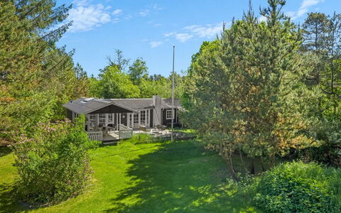 Volmer - 500M from the Sea: Træ, Græs, Vegetationen, Busk, Land Lot, Plantesamfund, Have, Hjem, Sommerhus, Bunddække