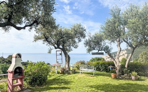 Finale Ligure 30: Græs, Hus, Landdistrikt, Sommerhus, Tag, Hjem, Landskab, Almindeligt, Land Lot