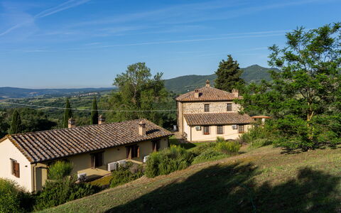 Il Cipresso - L'Olmo - L'Ulivo: Græs, Hus, Landdistrikt, Sommerhus, Tag, Hjem, Landskab, Almindeligt, Land Lot