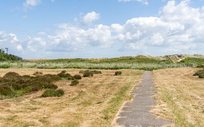 Enwald - 100M from the Sea