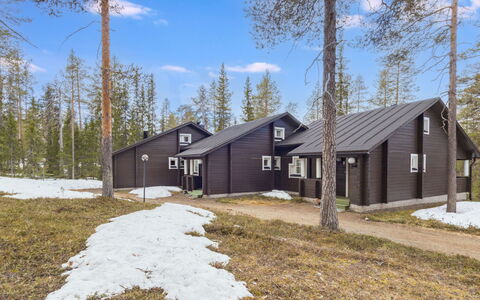 Veramukka B1: Hjem, Sommerhus, Tag, Sidespor, Hældning, Fryser, Lærk, Vinter
