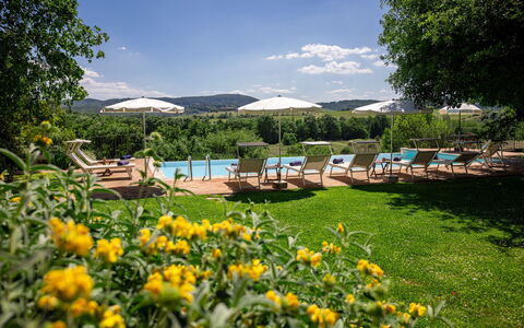 Villa Santa Barbara, Pool and Relax, Siena Country: Udvej, Udendørs Møbler, Have, Svømmepøl, Eco Hotel, Skygge, Landscaping, Liggestol, Estate, Plantation