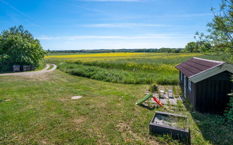Fria - 200M from the Sea: Himmel, Blå, Grøn, Græs, Græs-, Naturlige Landskab, Almindeligt, Landdistrikt, Sommer
