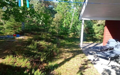 Ferdine - from the Sea: Have, Skygge, Lawn, Backyard, Gård, Woodland, Landscaping, Parkere, Garden Bygninger