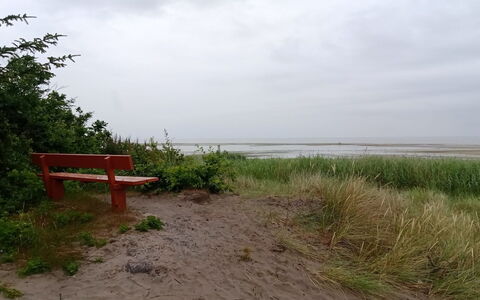 Ferdine - from the Sea: Kyst, Coastal Og Oceaniske Landskabsformer, Hav, Bank, Plantesamfund, Ocean, Kyst, Strand