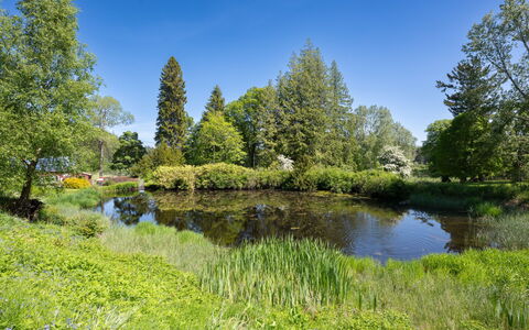 Coach House on Aigas Golf Course: Vand, Grøn, Vandressourcer, Krop Af Vand, Træ, Natur, Naturligt Miljø, Naturlige Landskab, Vandløb, Vegetationen