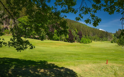 Coach House on Aigas Golf Course: Græs, Træ, Naturligt Miljø, Græs-, Almindeligt, Land Lot, Eng, Pasture, Lawn