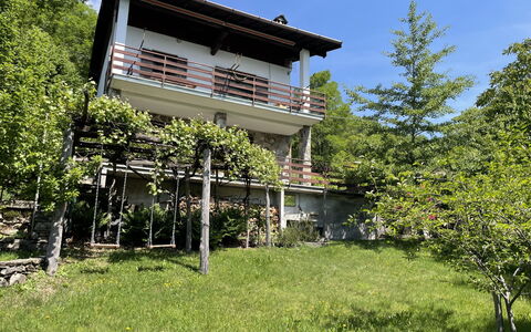 Il Cervo: Busk, Sommerhus, Have, Stuehus, Veranda, Altan, Backyard, Evergreen