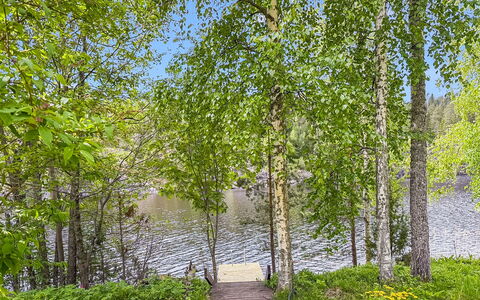 Villa Kaidanjylhä: Grøn, Blad, Natur, Træ, Naturligt Miljø, Afdeling, Vegetationen, Naturlige Landskab, Sommer