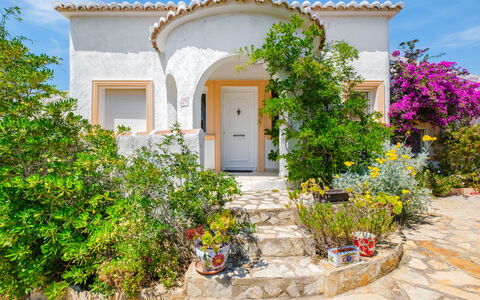 Bougainvillea: Busk, Have, Landscaping, Hacienda, Flise, Stueplante, Blomsterkrukke, Villa