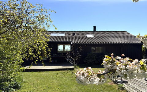 Stasia - 50M from the Sea: Græs, Hus, Tag, Busk, Hjem, Sommerhus, Land Lot, Landdistrikt, Bunddække, Stuehus