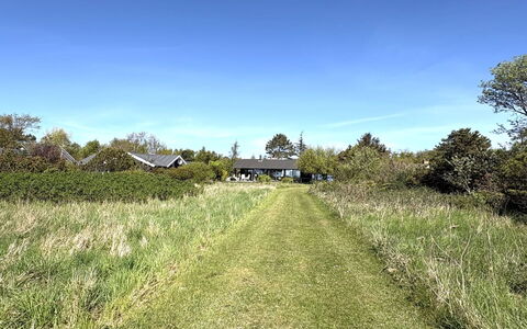 Stasia - 50M from the Sea: Græs, Græs-, Busk, Almindeligt, Land Lot, Landdistrikt, Pasture, Mark, Prærie