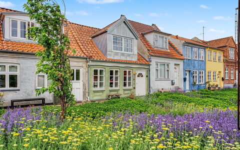 Swarthofthi - 90M from the Sea: Bunddække, Sommerhus, Have, Tulipan, Wildflower