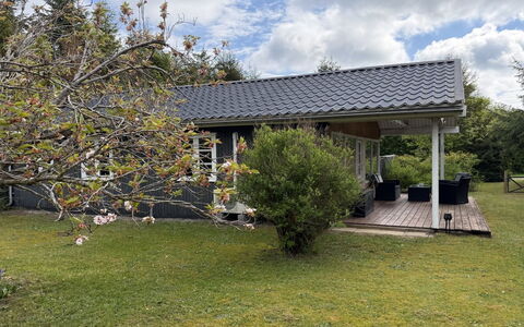 Arisa - from the Sea: Tag, Hus, Hjem, Sommerhus, Busk, Have, Skygge, Lawn, Sidespor