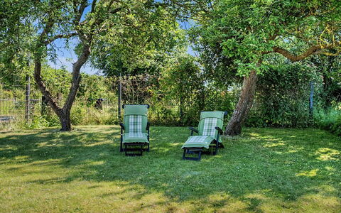 Aaro - 275M from the Sea: Grøn, Græs, Møbel, Busk, Have, Land Lot, Lawn, Skygge, Udendørs Møbler