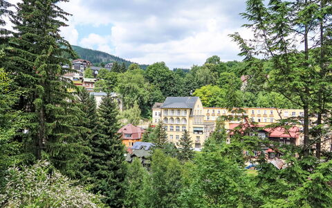Janské Lázně 5: Træ, Busk, Boligområde, Landskab, Hjem, Lærk, Hill Station, Forstad, Bjerglandsby