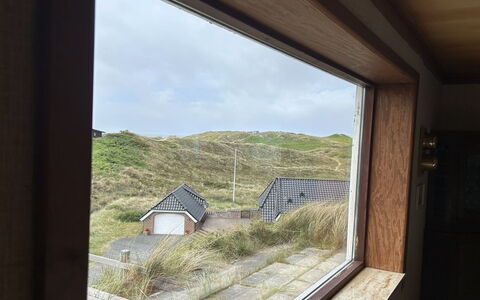 Nyyrikki - 350M from the Sea: Hårdttræ, Dagslys