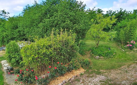L'Ancienne Ferme: Vegetationen, Busk, Have, Plantesamfund, Land Lot, Bunddække, Vedplante, Landscaping