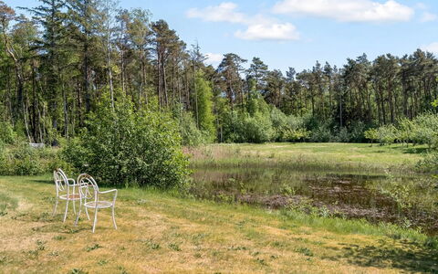 Yorrick - 5Km from the Sea: Græs, Træ, Grøn, Naturligt Miljø, Naturlige Landskab, Vegetationen, Græs-, Busk, Plantesamfund