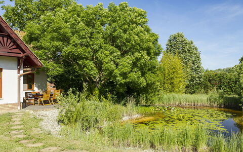 Villa Canela: Grøn, Busk, Have, Sommerhus, Landdistrikt, Forår, Eng, Lawn, Stuehus