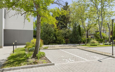 Gárdonyi Garden: Busk, Offentlige Rum, Bunddække, Fortov, Have, Flise, Vedplante, Indkørsel, Walkway
