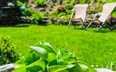 Herlíkovice: Grøn, Rots, Have, Busk, Landskab, Bunddække, Lawn, Landscaping, Backyard, Gård